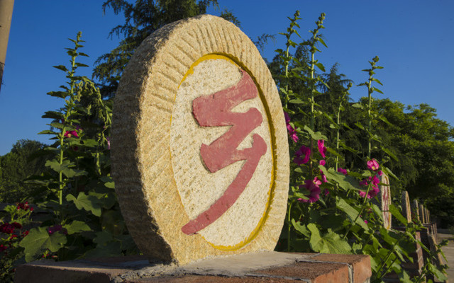 乡村振兴_副本.jpg