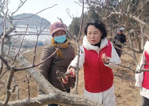 华明芹：弘扬劳模精神 助力乡村振兴
